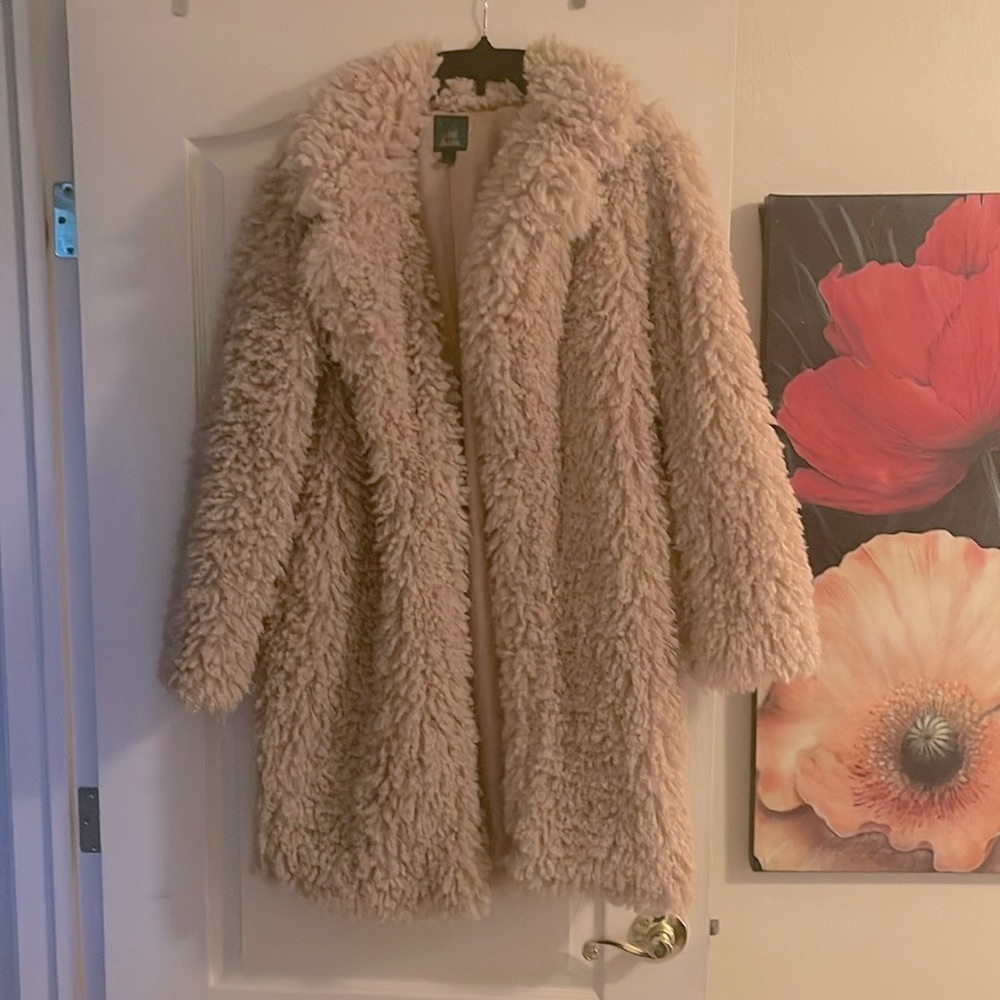 Beautiful beige, long, shaggy coat worn twice.  Size medium. Brand is Wild fable